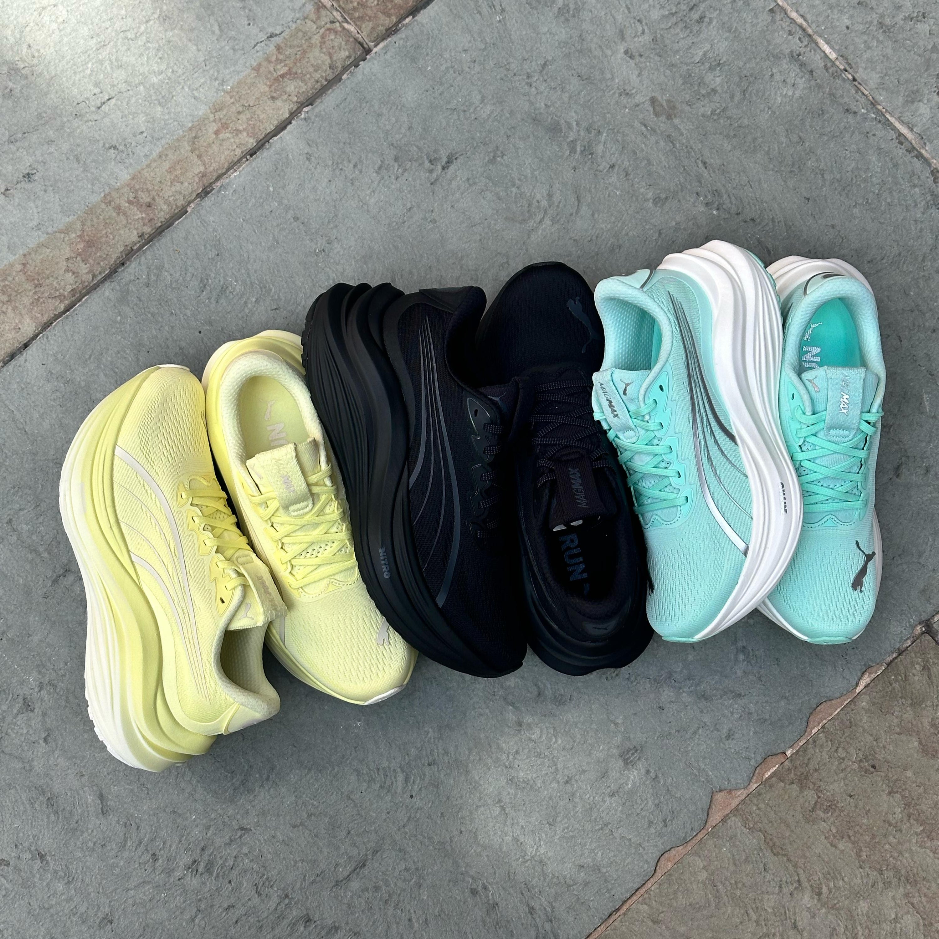 Puma